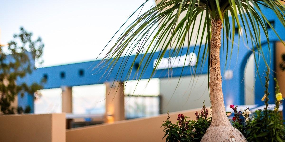 Almogim Suites Eilat Hotel (Adults Only) Екстер'єр фото